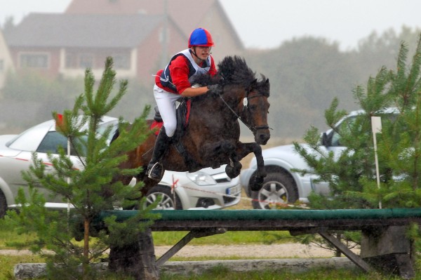 Greenwood Racal / Roland Berr